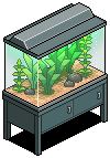 Acquario